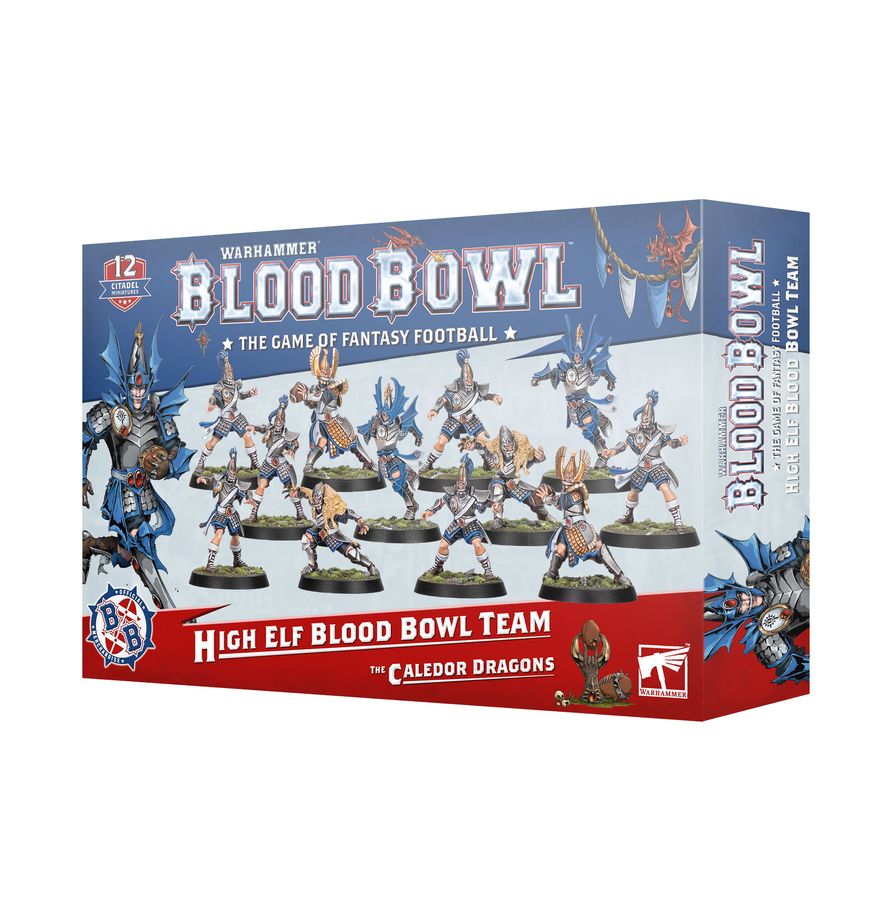 Blood Bowl High Elf Team Caledor Dragons