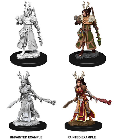D&D Nolzurs Marvelous Unpainted Miniatures: Human Druid Female - Dungeons & Dragons