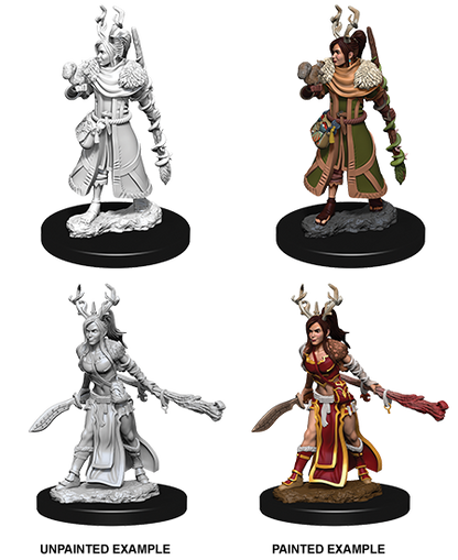 D&D Nolzurs Marvelous Unpainted Miniatures: Human Druid Female - Dungeons & Dragons